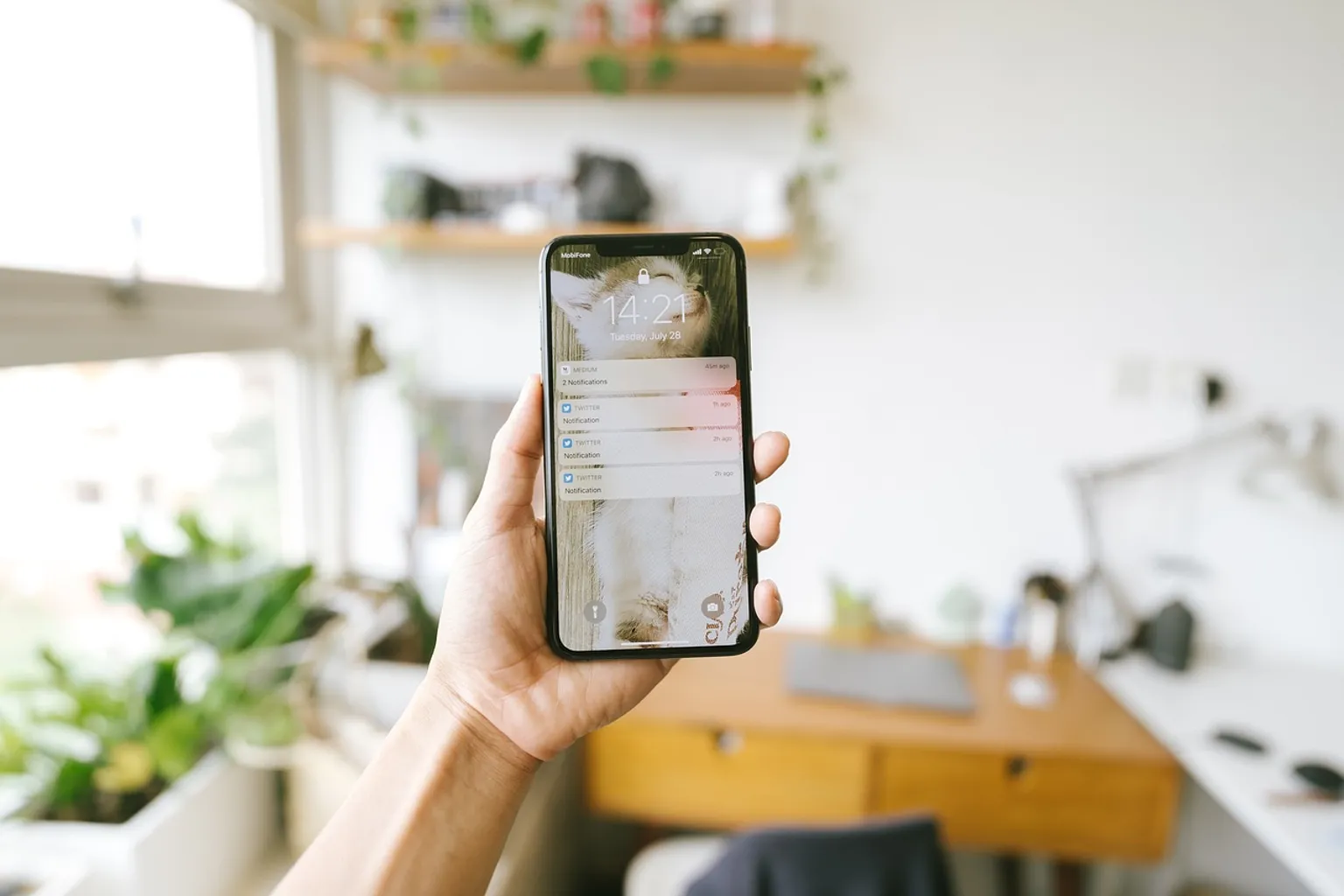 Флагманы июля 2026: стоит ли переплачивать за iPhone 17 Pro Max и OnePlus 15